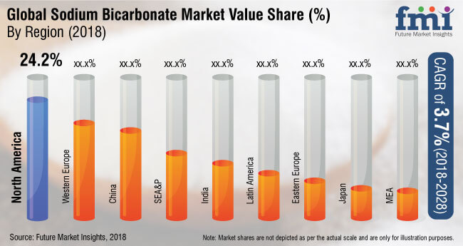 sodium bicarbonate market