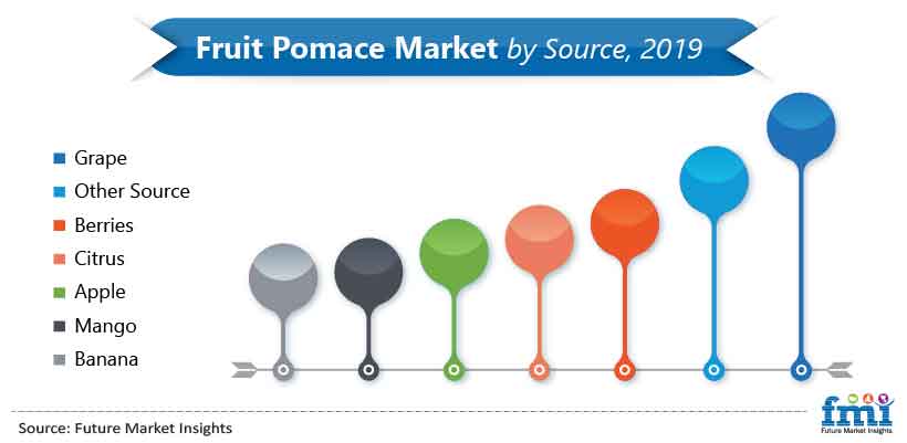 Fruit Pomace Market by Source, 2019