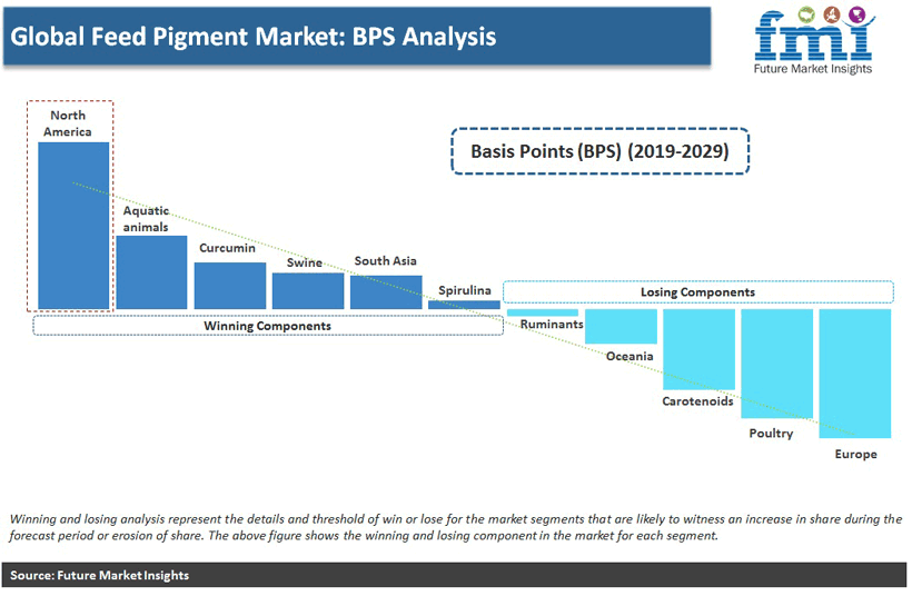 Global Feed Pigment Market: BPS Analysis