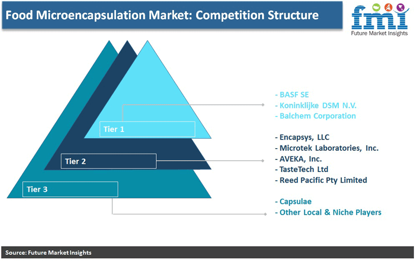 Food Microencapsulation Market:Competition Structure