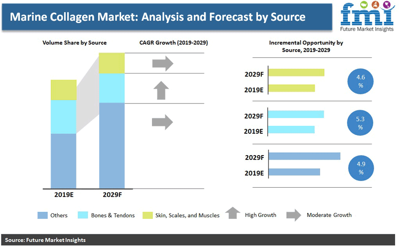 Marine Collagen Market: Analysis and Forecast by Source