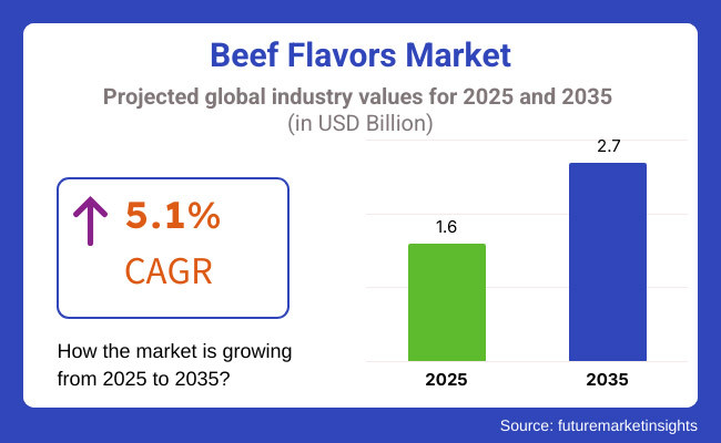 Beef Flavors Market