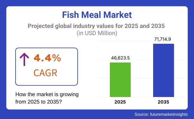 Fish Meal Market