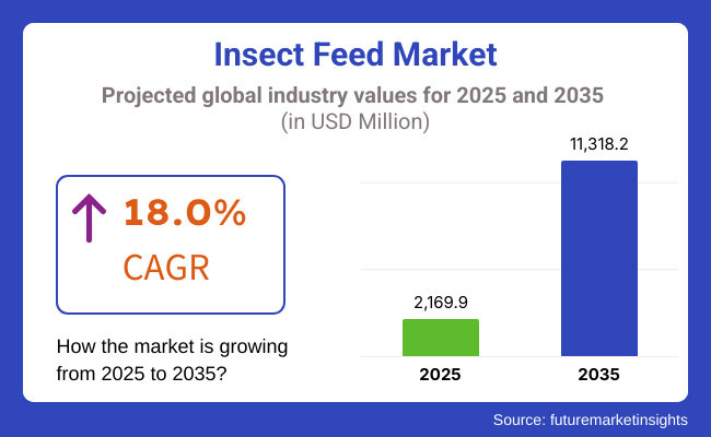 Insect Feed Market