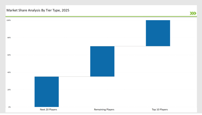 Aerosol Printing And Graphics Market Share Analysis By Tier Analysis 2025