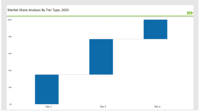 Airless Pumps Market Share Analysis By Tier Type 2025