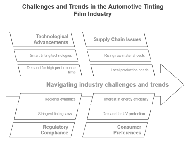 Automotive Tinting Film Market Challenges And Trends