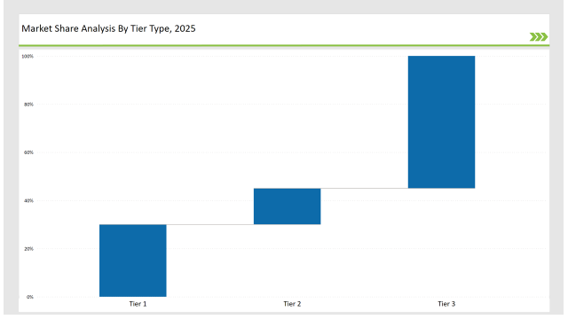 China Nitrogen Gas Springs Market Share Analysis By Tier Type 2025