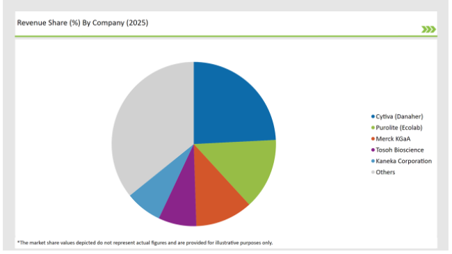 China Protein A Resins Market Revenue Share By Company 2025