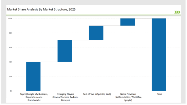 Enterprise Internet Reputation Management Market Share Analysis By Market Structure 2025