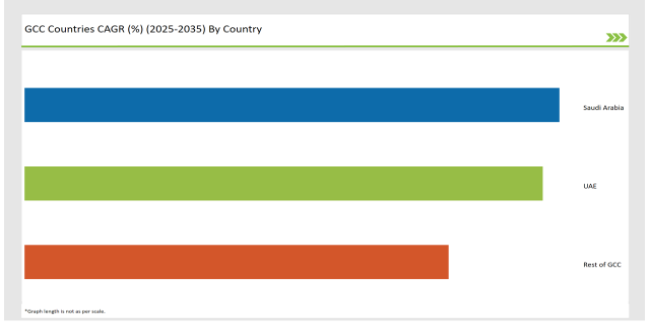 Gcc Countries Enterprise Internet Reputation Management Market Gcc Countries Cagr 2025 2035 By Country