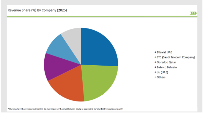 Gcc Countries Tower Mounted Amplifier Market Revenue Share By Company 2025