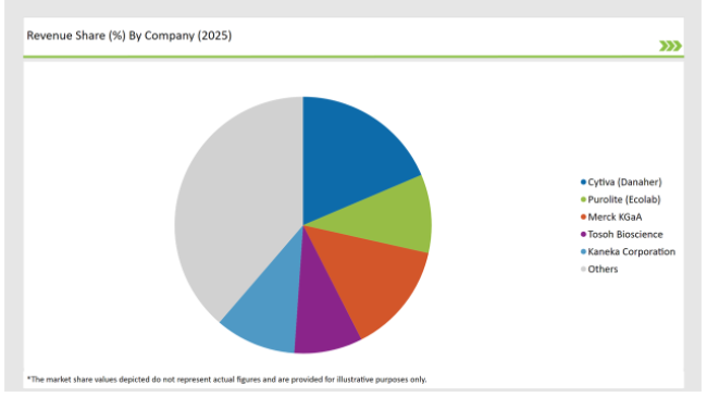 India Protein A Resins Market Revenue Share By Company 2025