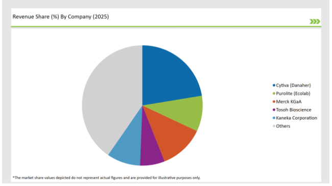 Japan Protein A Resins Market Revenue Share