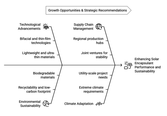 Pv Module Encapsulant Film Market Growth Opportunites And Strategic Recommedations
