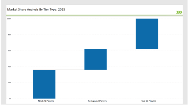 Shoe Packaging Market Share Analysis By Tier Type 2025