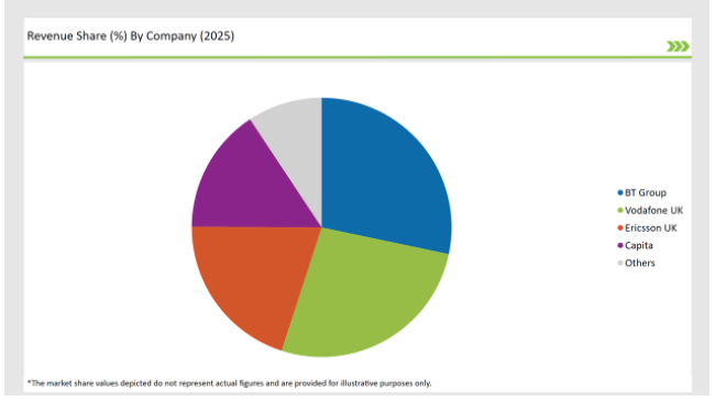 Uk Network Function Virtualization Market Revanue Share By Company 2025