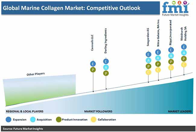 global marine collagen market competitive outlook pr