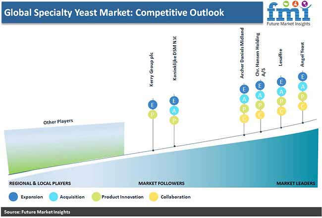 global specialty yeast market competitive outlook pr