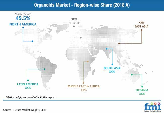 organoids market pr